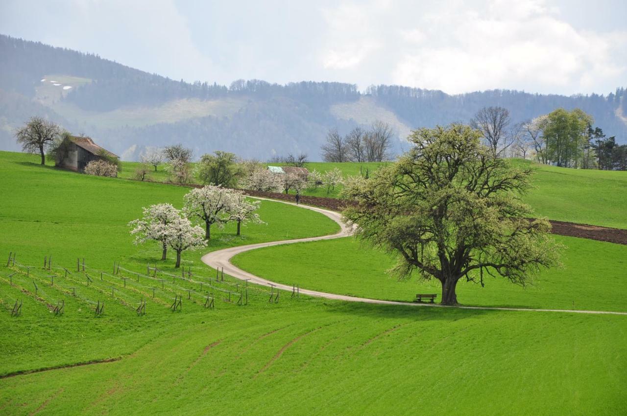 B&B Zum Rossli Zunzgen ภายนอก รูปภาพ