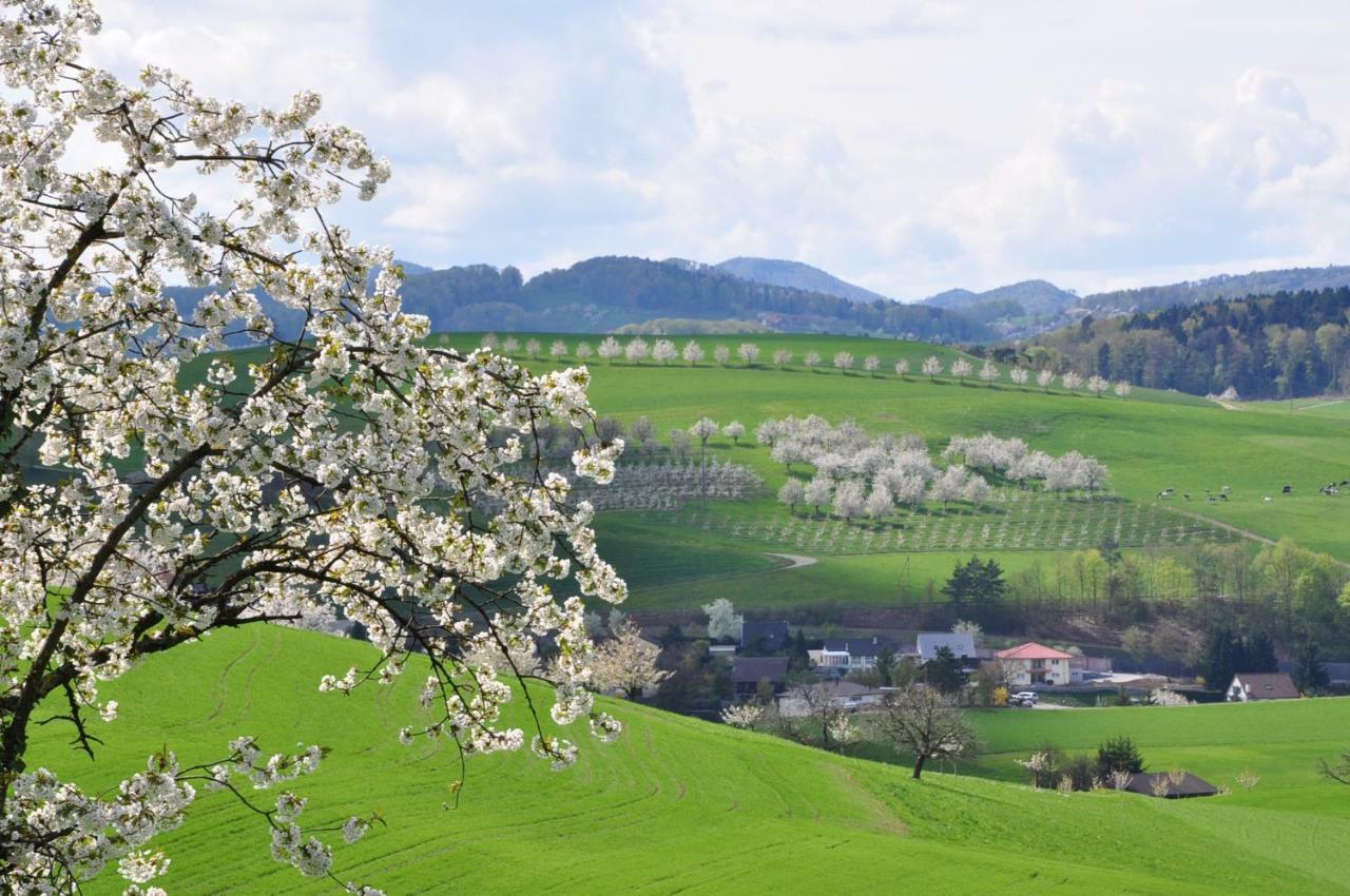 B&B Zum Rossli Zunzgen ภายนอก รูปภาพ